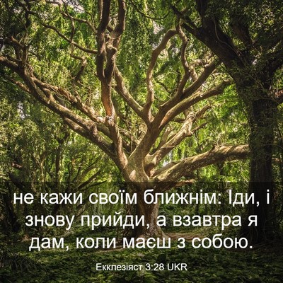 Picture 03 - Екклезіяст 3:28 UKR - не кажи своїм ближнім: Іди, - Bible Verse Picture