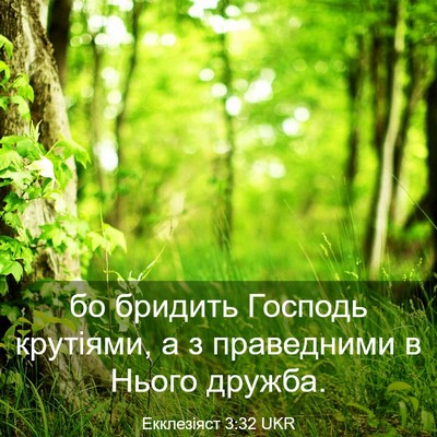 Picture 03 - Екклезіяст 3:32 UKR - бо бридить Господь - Bible Verse Picture