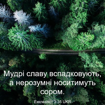 Picture 03 - Екклезіяст 3:35 UKR - Мудрі славу вспадковують, - Bible Verse Picture