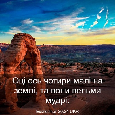 Picture 03 - Екклезіяст 30:24 UKR - Оці ось чотири малі на - Bible Verse Picture