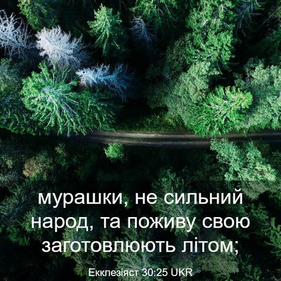 Picture 03 - Екклезіяст 30:25 UKR - мурашки, не сильний народ, - Bible Verse Picture
