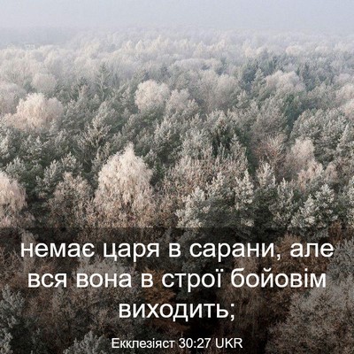 Picture 03 - Екклезіяст 30:27 UKR - немає царя в сарани, але - Bible Verse Picture