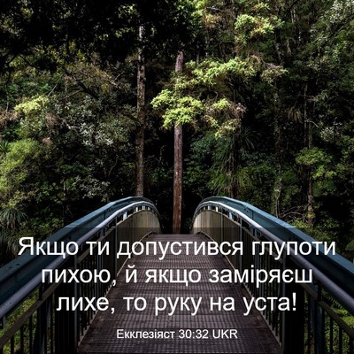 Picture 03 - Екклезіяст 30:32 UKR - Якщо ти допустився глупоти - Bible Verse Picture