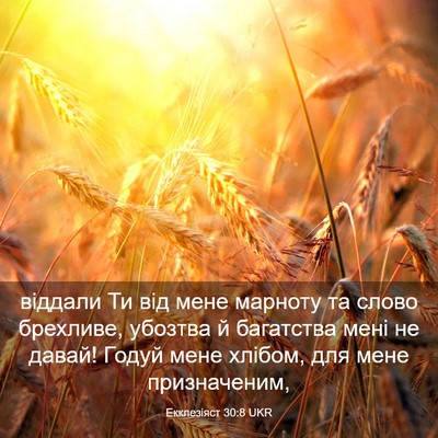 Picture 03 - Екклезіяст 30:8 UKR - віддали Ти від мене - Bible Verse Picture