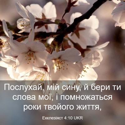 Picture 03 - Екклезіяст 4:10 UKR - Послухай, мій сину, й бери - Bible Verse Picture