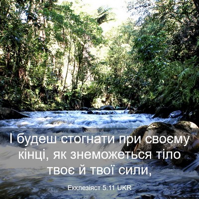 Picture 03 - Екклезіяст 5:11 UKR - І будеш стогнати при - Bible Verse Picture
