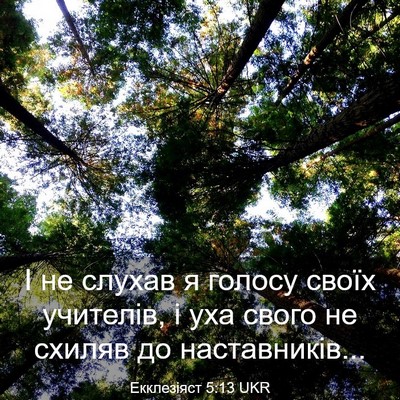 Picture 03 - Екклезіяст 5:13 UKR - І не слухав я голосу своїх - Bible Verse Picture