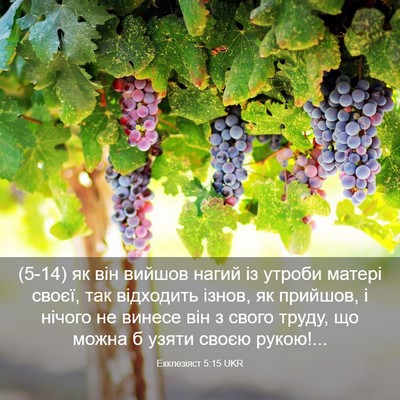 Picture 03 - Екклезіяст 5:15 UKR - (5-14) як він вийшов нагий із - Bible Verse Picture