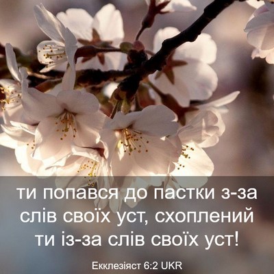 Picture 03 - Екклезіяст 6:2 UKR - ти попався до пастки з-за - Bible Verse Picture