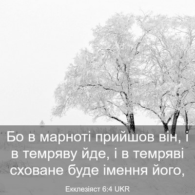 Picture 03 - Екклезіяст 6:4 UKR - Бо в марноті прийшов він, і - Bible Verse Picture