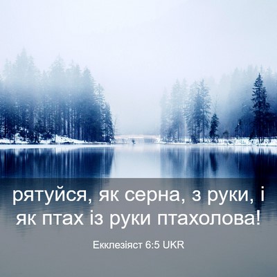 Picture 03 - Екклезіяст 6:5 UKR - рятуйся, як серна, з руки, і - Bible Verse Picture