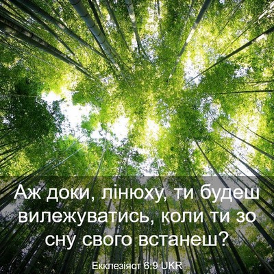 Picture 03 - Екклезіяст 6:9 UKR - Аж доки, лінюху, ти будеш - Bible Verse Picture
