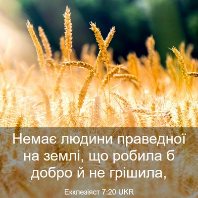 Picture 03 - Екклезіяст 7:20 UKR - Немає людини праведної на - Bible Verse Picture