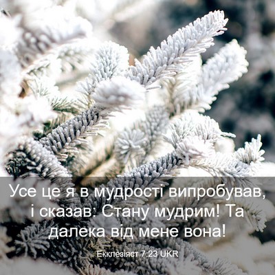 Picture 03 - Екклезіяст 7:23 UKR - Усе це я в мудрості - Bible Verse Picture