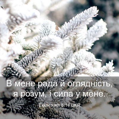 Picture 03 - Екклезіяст 8:14 UKR - В мене рада й оглядність, я - Bible Verse Picture