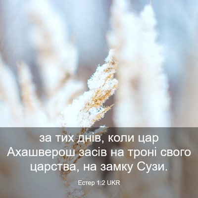 Picture 03 - Естер 1:2 UKR - за тих днів, коли цар - Bible Verse Picture