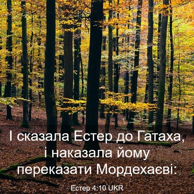 Picture 03 - Естер 4:10 UKR - І сказала Естер до Гатаха, - Bible Verse Picture