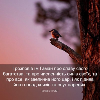 Picture 03 - Естер 5:11 UKR - І розповів їм Гаман про - Bible Verse Picture