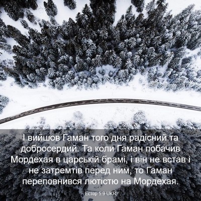 Picture 03 - Естер 5:9 UKR - І вийшов Гаман того дня - Bible Verse Picture