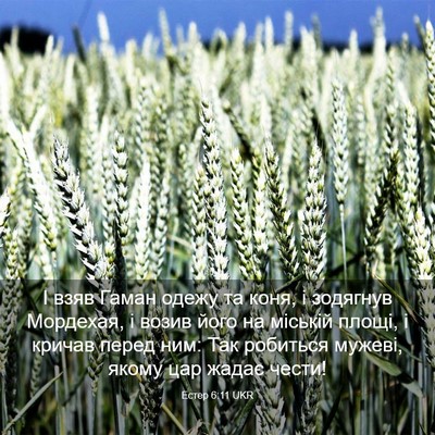Picture 03 - Естер 6:11 UKR - І взяв Гаман одежу та коня, - Bible Verse Picture