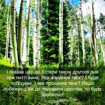 Picture 03 - Естер 7:2 UKR - І сказав цар до Естери - Bible Verse Picture