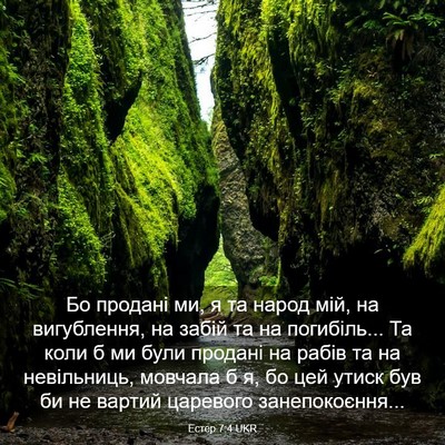 Picture 03 - Естер 7:4 UKR - Бо продані ми, я та народ - Bible Verse Picture