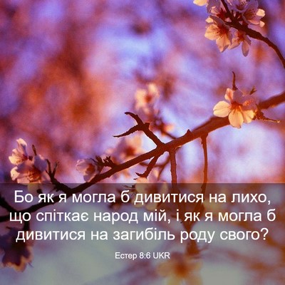 Picture 03 - Естер 8:6 UKR - Бо як я могла б дивитися на - Bible Verse Picture