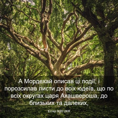 Picture 03 - Естер 9:20 UKR - А Мордехай описав ці події, - Bible Verse Picture