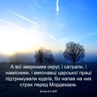 Picture 03 - Естер 9:3 UKR - А всі зверхники округ, і - Bible Verse Picture