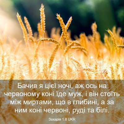 Picture 03 - Захарія 1:8 UKR - Бачив я цієї ночі, аж ось на - Bible Verse Picture
