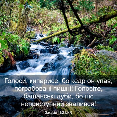 Picture 03 - Захарія 11:2 UKR - Голоси, кипарисе, бо кедр - Bible Verse Picture