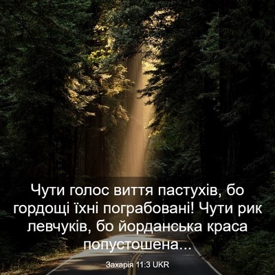 Picture 03 - Захарія 11:3 UKR - Чути голос виття пастухів, - Bible Verse Picture