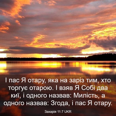 Picture 03 - Захарія 11:7 UKR - І пас Я отару, яка на заріз - Bible Verse Picture