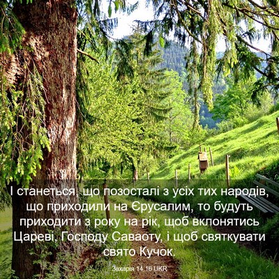 Picture 03 - Захарія 14:16 UKR - І станеться, що позосталі з - Bible Verse Picture
