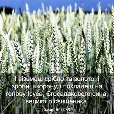 Picture 03 - Захарія 6:11 UKR - І візьмеш срібло та золото, - Bible Verse Picture