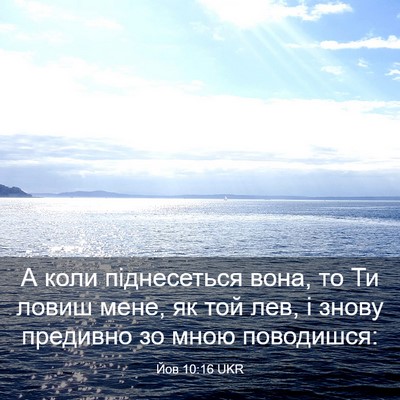 Picture 03 - Йов 10:16 UKR - А коли піднесеться вона, то - Bible Verse Picture