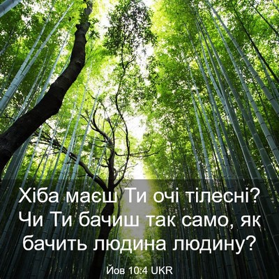 Picture 03 - Йов 10:4 UKR - Хіба маєш Ти очі тілесні? - Bible Verse Picture