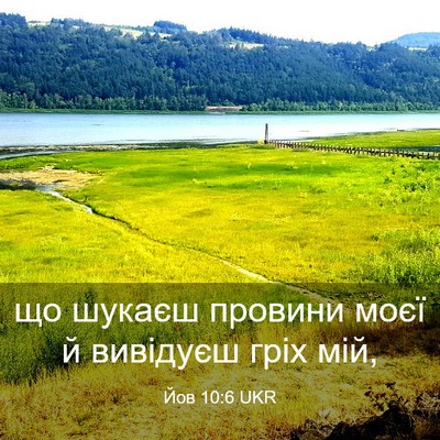 Picture 03 - Йов 10:6 UKR - що шукаєш провини моєї й - Bible Verse Picture