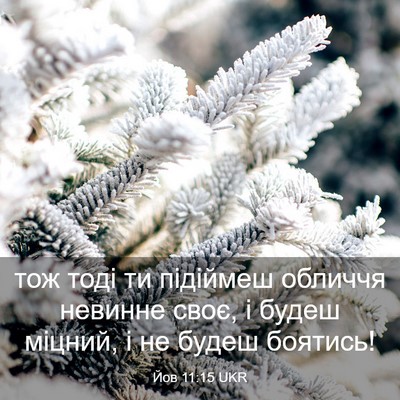 Picture 03 - Йов 11:15 UKR - тож тоді ти підіймеш - Bible Verse Picture