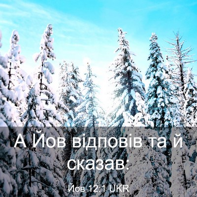 Picture 03 - Йов 12:1 UKR - А Йов відповів та й - Bible Verse Picture