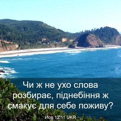 Picture 03 - Йов 12:11 UKR - Чи ж не ухо слова розбирає, - Bible Verse Picture