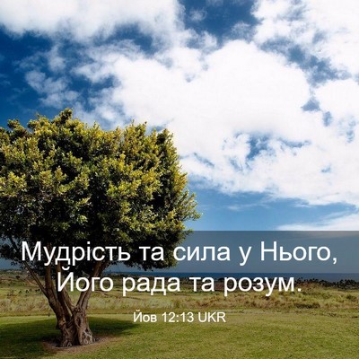 Picture 03 - Йов 12:13 UKR - Мудрість та сила у Нього, - Bible Verse Picture