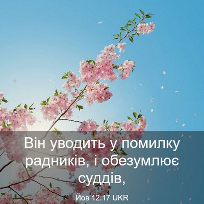 Picture 03 - Йов 12:17 UKR - Він уводить у помилку - Bible Verse Picture
