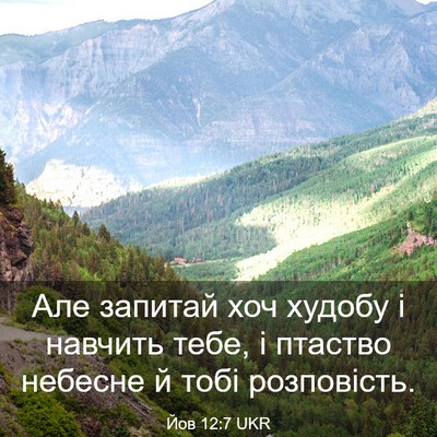 Picture 03 - Йов 12:7 UKR - Але запитай хоч худобу і - Bible Verse Picture
