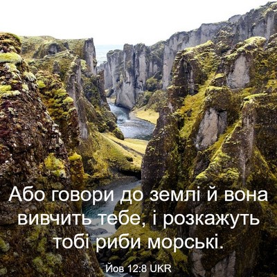 Picture 03 - Йов 12:8 UKR - Або говори до землі й вона - Bible Verse Picture