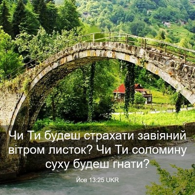 Picture 03 - Йов 13:25 UKR - Чи Ти будеш страхати - Bible Verse Picture