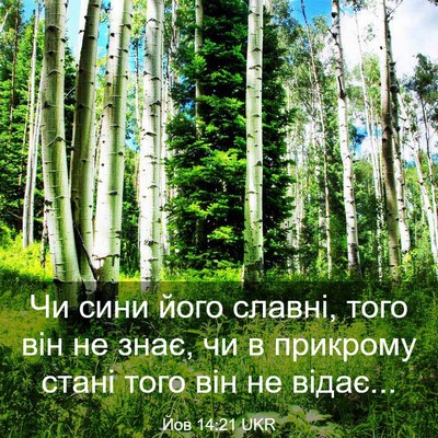 Picture 03 - Йов 14:21 UKR - Чи сини його славні, того - Bible Verse Picture