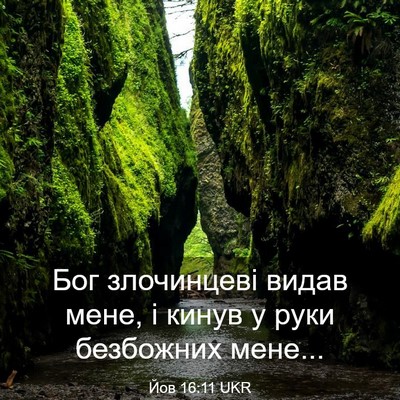 Picture 03 - Йов 16:11 UKR - Бог злочинцеві видав мене, - Bible Verse Picture