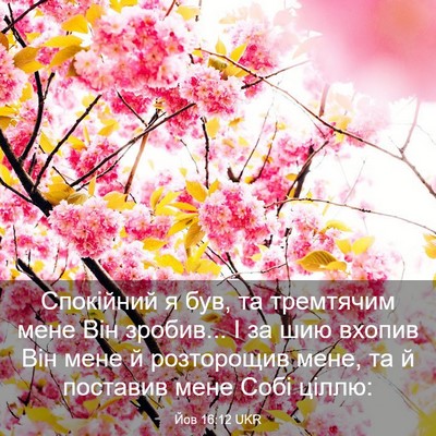 Picture 03 - Йов 16:12 UKR - Спокійний я був, та - Bible Verse Picture