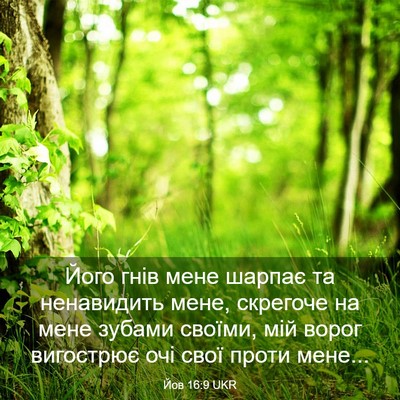 Picture 03 - Йов 16:9 UKR - Його гнів мене шарпає та - Bible Verse Picture